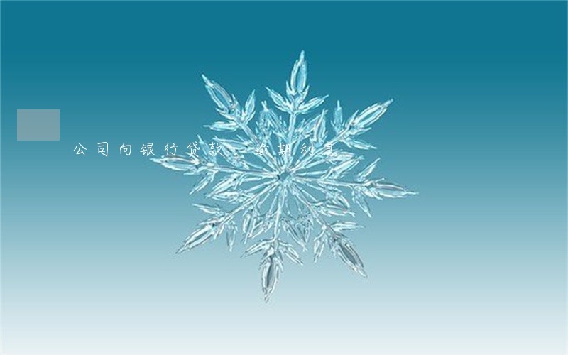 公司向银行贷款 逾期利息 公司向银行贷款 逾期利息